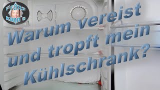 Warum vereist und tropft mein Kühlschrank Tipps zur Fehlersuche und zur Vermeidung der Eisbildung [upl. by Ayaj]