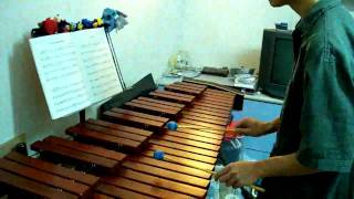 Bach Minuet BWV Anh 116 G Major Anna Magdalena Notebook 2 Marimba 巴赫 小步舞曲 [upl. by Tarrel]