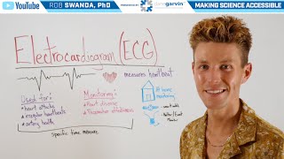 Overview of an Electrocardiogram ECG or EKG [upl. by Ardnua625]