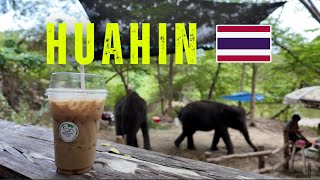 Lae Chang Cafe Elephant Cafe  Hua Hin Thailand  asaniPOV [upl. by Benildis235]