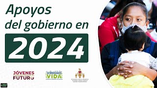 Apoyos del gobierno de México que puedes pedir en 2024 [upl. by Acemahs]