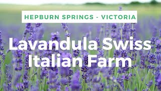 Lavandula Farm  Hepburn Springs Victoria [upl. by Armilla]