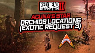 RDR2  Acunas Star Orchids Locations Exotic Request 3 [upl. by Whall]