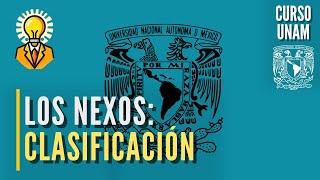 📚 Los NEXOS  Copulativos disyuntivos y adversativos  Curso UNAM español [upl. by Netnilc482]