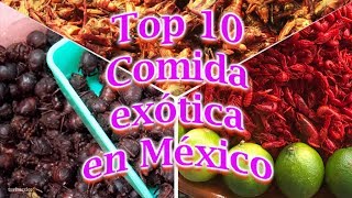 Top 10 Comida exótica en México [upl. by Ahcarb]