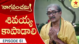 Naga Panchami  Episode 61 Highlight 4  Telugu Serial  StarMaa Serials  Star Maa [upl. by Clein60]