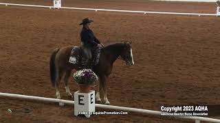 2023 AQHA World Show  WD Level 2 Test 1  7280 [upl. by Bridge]