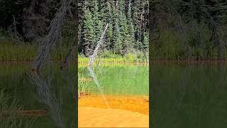 Kootenay National Park  Paint Pots shortsfeed shortsyoutube [upl. by Ardine]