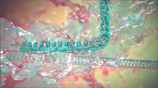 Random42 Medical Animation  CRISPR [upl. by Welby]