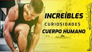 ✨ ¡Curiosidades Increíbles del Cuerpo Humano que NO Creerás 🧠💡 [upl. by Ococ]