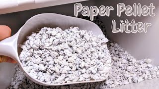 DIY Paper Pellet Litter [upl. by Reilly]