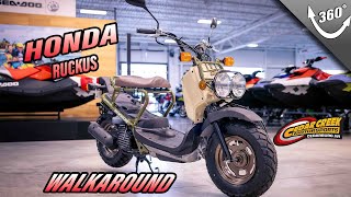 2024 Honda® Ruckus Walkaround [upl. by Esilrahc284]