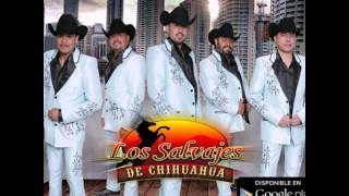 Los Salvajes de Chihuahua Las 4 Primaveras [upl. by Fusuy]