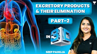 Excretory Products and Their Elimination in 3D  Part  2  NEET 2024  Seep Pahuja [upl. by Chabot]