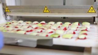 SemiAutomatic Skewer Machine – principle video – PINTRO P1000 [upl. by Resor]