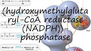 How to pronounce hydroxymethylglutarylCoA reductase NADPHphosphatase [upl. by Linnie91]