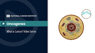 Oncogenes What is Cancer Video Series [upl. by Eneryt]