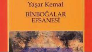 Yaşar kemal🌺Binboğalar efsanesi PART 1 SESLİ KİTAP книга roman yaşarkemal binboğalarefsanesi [upl. by Luwana]