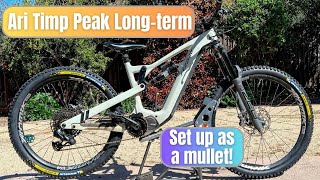 Ari Bikes Timp Peak Longterm Review  170mm travel bike formerly Fezzari [upl. by Noyar]