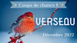 VERSEAU DECEMBRE 2022 ✨Coups de chance [upl. by Onivag]