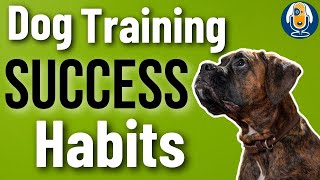 Remove Confusion And Build Your Dogs Confidence With One Simple Dog Training Habit 139 podcast [upl. by Trebuh]