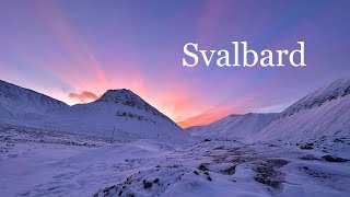 Svalbard [upl. by Annawt]