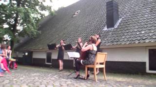 Strijkkwartet Marche militaire van F Schubert string quartet [upl. by Duntson]