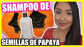 Cómo hacer SHAMPOO DE SEMILLAS DE PAPAYA  CABELLO MÁS LARGO  Nadia Elias [upl. by Cheslie757]