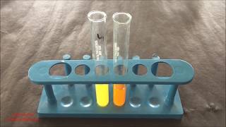 Phytochemical Test for Flavonoid  Flavonoid Identification Test  Flavonoid Test  ENGLISH [upl. by Nayk]