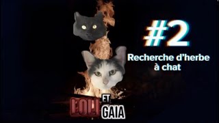 𝐋𝐨𝐥𝐢ampᘜᗩIᗩ ÉPISODE 2 Recherche d’herbe à chat [upl. by Wyatt]