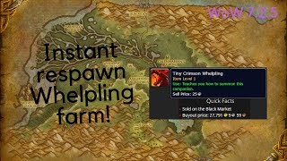 WoW Gold farm  Tiny Crimson Whelpling instant respawn Wetlands [upl. by Notsuoh]