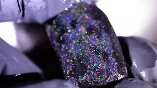 53ct 30x20x12 Nice Black Basalt Matrix Opal Rohstein rubbedsliced Honduras Gem [upl. by Yssak]