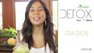 DETOX de Jugos en 3 dias Dia 2 3 Day Juice DETOX  Day 2 [upl. by Dagny]