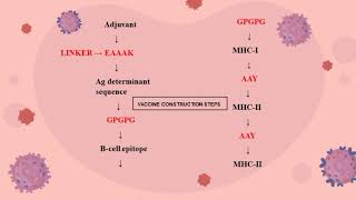 VCCA2024 155 Designing multiepitope based vaccine for cervical cancer by on immunoinformatics tools [upl. by Adelle]