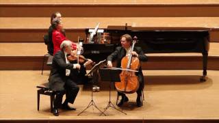 44 Brahms  Trio for piano violin amp cello in Cmajor Op 87 [upl. by Ahsiekat]