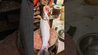 Most Creative Rohu Fish Cutting Skills By Professional Cutter😲 episode1 shorts [upl. by Leicam169]