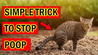 Stop Cats Pooping Instantly in Your Garden With This Simple Trick [upl. by Luann]