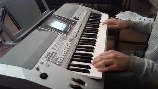 Leonetta theme A Branduardi cover Yamaha psr s910 [upl. by Farmelo]