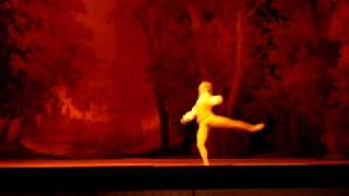 David Hallberg PChaikovsky The Sleeping Beauty 24042010 [upl. by Hillard346]