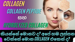 තරුණ බව රැකගන්න බොන collagencollagen peptide hydrolyzed collagen කියන්නේ මොනව ද collagen skin [upl. by Inoliel]