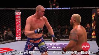 【UFC】今週のイチオシKO：マーク・ハント vs ステファン・ストルーフェ [upl. by Chicky]