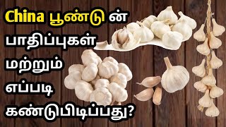 Avoid china garlic  tamil  yaavumtamil [upl. by Aneem]