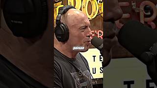 Joe Rogan on American FOOD 🦅🇺🇸 [upl. by Aneehsar]