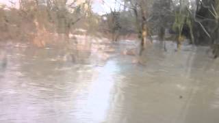 Rickmansworth Aquadrome amp Grand Union Canal  Floods Feb 20 [upl. by Laurens]