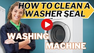 How To Clean a Front Load Washer Seal [upl. by Ellenohs106]