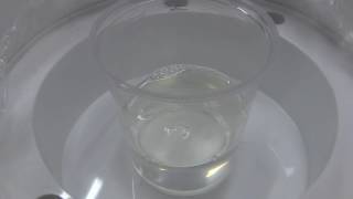 Degassing epoxy resin for vacuum infusion [upl. by Suixela]