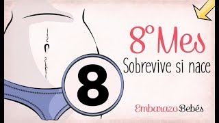 MES 8  Octavo mes de embarazo  Semana a semana [upl. by Darach]