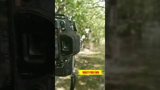 nikon d7000 settings in hindi 💥⚙️ how to settings Nikon D7000 in Hindi shorts youtubeshorts viral [upl. by Ahseret425]