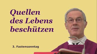 quotQuellen des Lebens beschützenquot  P Paul Weingartner [upl. by Gladdy]