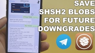 Prepare for iOS Downgrades  Save SHSH2 Blobs using Telegram EASIEST WAY [upl. by Secnirp]